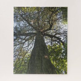 Big Beautiful Tree Jigsaw Puzzle