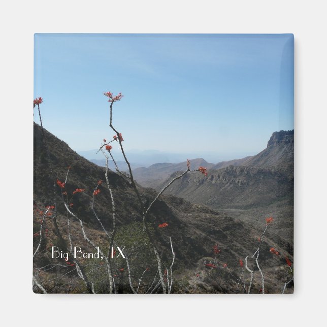 Big Bend National Park, Texas Magnet (Front)