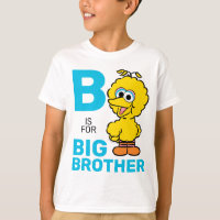 Big Bird | B is for Big Brother