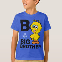 Big Bird | B is for Big Brother