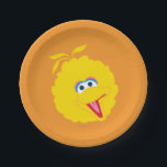 Big Bird Face Paper Plate<br><div class="desc">Check out this bright faced Big Bird!         This item is recommended for ages 2 . ©  2014 Sesame Workshop. www.sesamestreet.org</div>