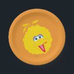 Big Bird Face Paper Plate<br><div class="desc">Check out this bright faced Big Bird!         This item is recommended for ages 2 . ©  2014 Sesame Workshop. www.sesamestreet.org</div>