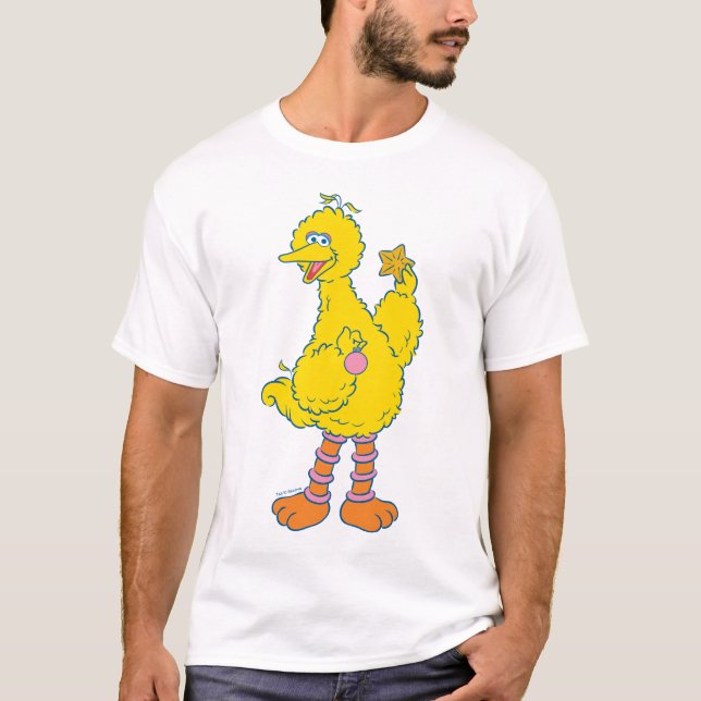 Big Bird Holding Christmas Ornaments T-Shirt (Front)