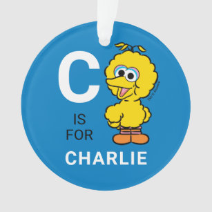 Big Bird   Personalized Name with Photo Ornament