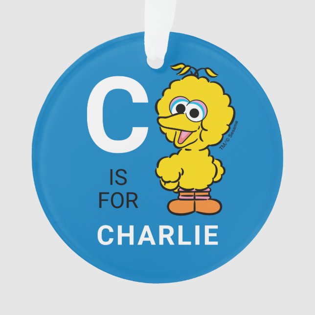 Big Bird | Personalized Name with Photo Ornament (Front)