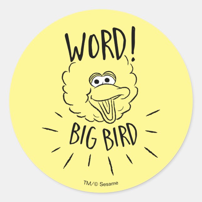 Big Bird Skate Logo - Word! Big Bird Classic Round Sticker (Front)