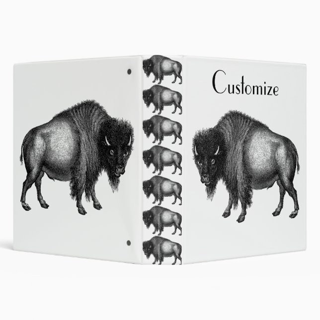 Big Bison Buffalo Thunder_Cove  Binder (Background)