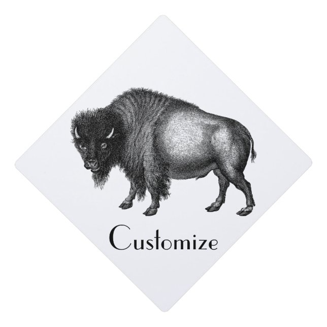 Big Bison Buffalo Thunder_Cove Graduation Cap Topper (Front)