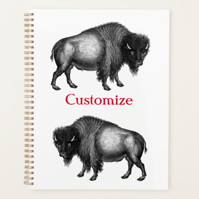 Big Bison Buffalo Thunder_Cove  Planner (Front)