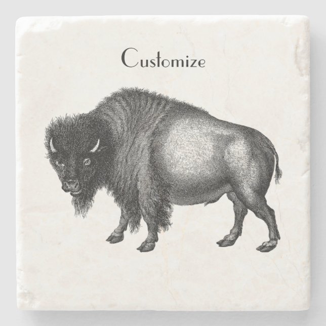 Big Bison Buffalo Thunder_Cove  Stone Coaster (Front)
