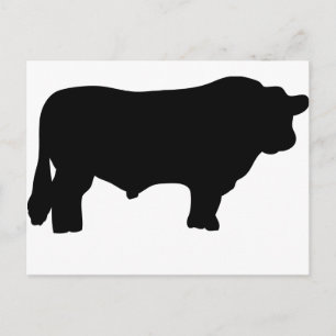 big black angus bull postcard