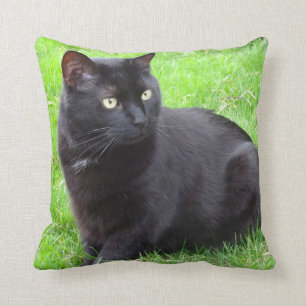 Big Black Cat Pillow
