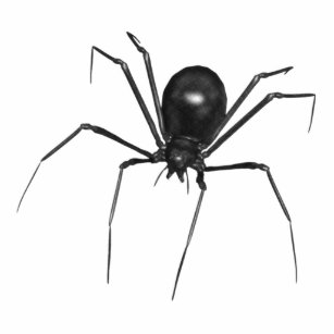 Big Black Creepy 3D Spider Photo Sculpture Ornament
