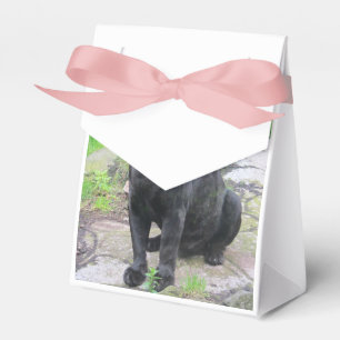 Big Black Jaguar Cat on Sitting on Rock Favor Box
