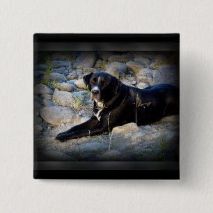 Big Black Pitbull Lab Cross 2 Inch Square Button