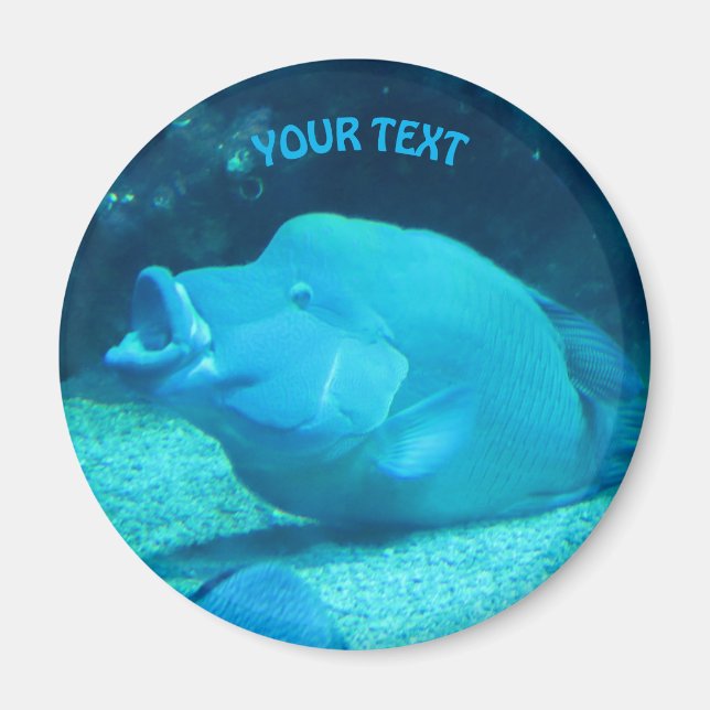 Big Blue Fish Magnet (Front)