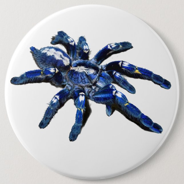 Big blue Tarantula spider, giant spider 6 Inch Round Button (Front)