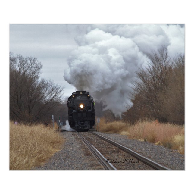 Big Boy 4014 Photo Print (Front)