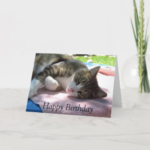 Big Boy Cat on Table Birthday Card