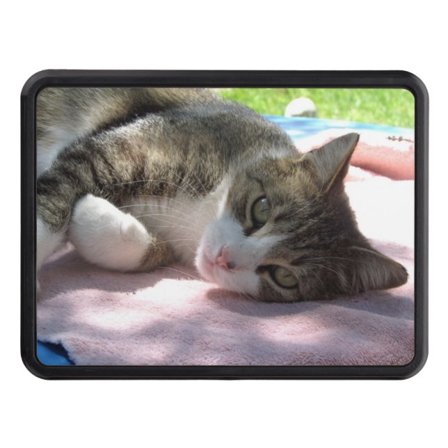 Big Boy On Table Trailer Hitch Cover (Front)