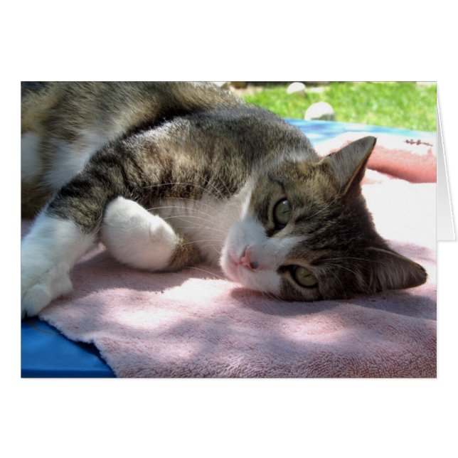 Big Boy On The Table Blank Greeting Card (Front Horizontal)