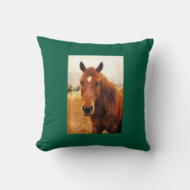 Big Braxton Throw Pillow (Front)