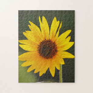 Big Bright Sunflower Flower Nature Puzzle