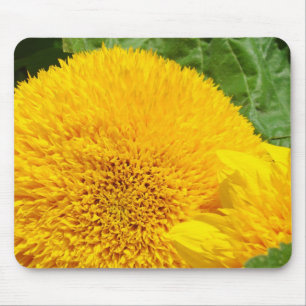 Big Bright Yellow Summer Sunflowers mousepads