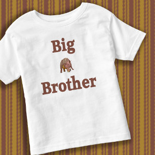 Big Brother Dinosaur Toddler T-shirt