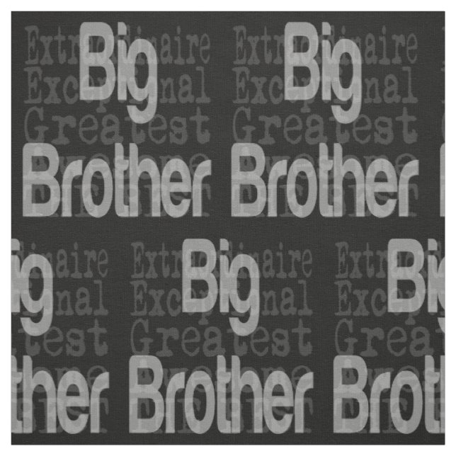 Big Brother Extraordinaire Fabric (Swatch)