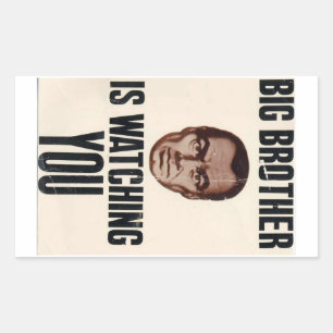 Big Brother is Watching Sticker