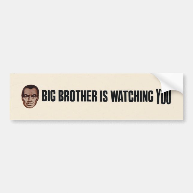 Big Brother is watching you! Bumper Sticker (Front)