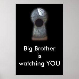 Big brother is watching you poster