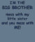Big Brother