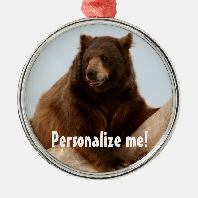 Big Brown Bear Metal Ornament (Front)