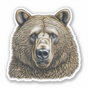 Big Brown Bear Personalized