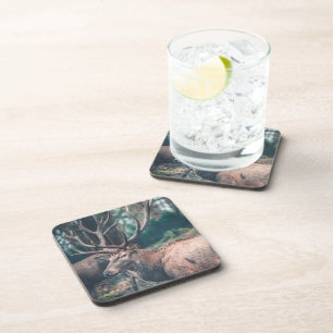 Big Brown Buck Deer with Large Antlers Coaster