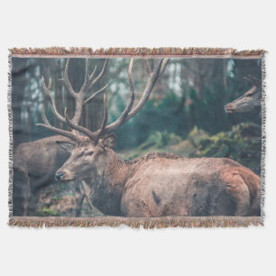 Big Brown Buck Deer with Large Antlers Throw Blanket