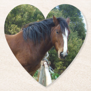 Big Brown Clydesdale Horse, Paper Coaster
