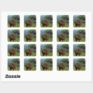 Big Brown Elephant Grazing, Square Sticker