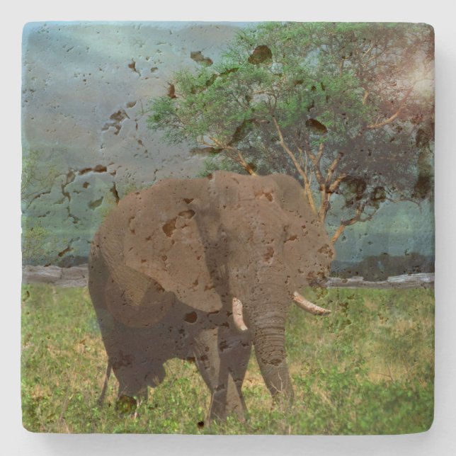 Big Brown Elephant Grazing,    Stone Coaster (Front)