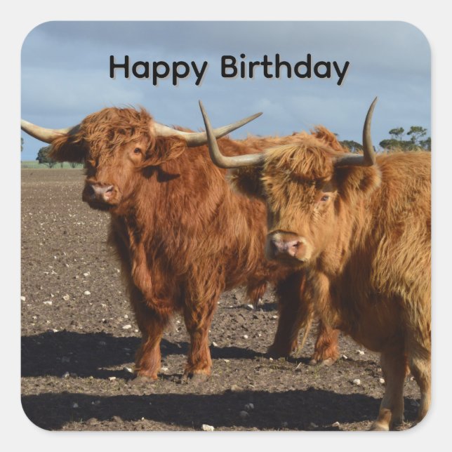 Big Brown Highland Cows, Birthday Stickers (Front)