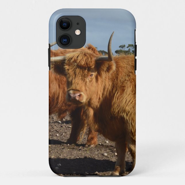 Big Brown Highland Cows, Case-Mate iPhone Case (Back)