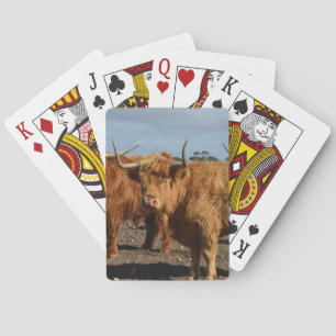 Big Brown Highland Cows, Playing Cards