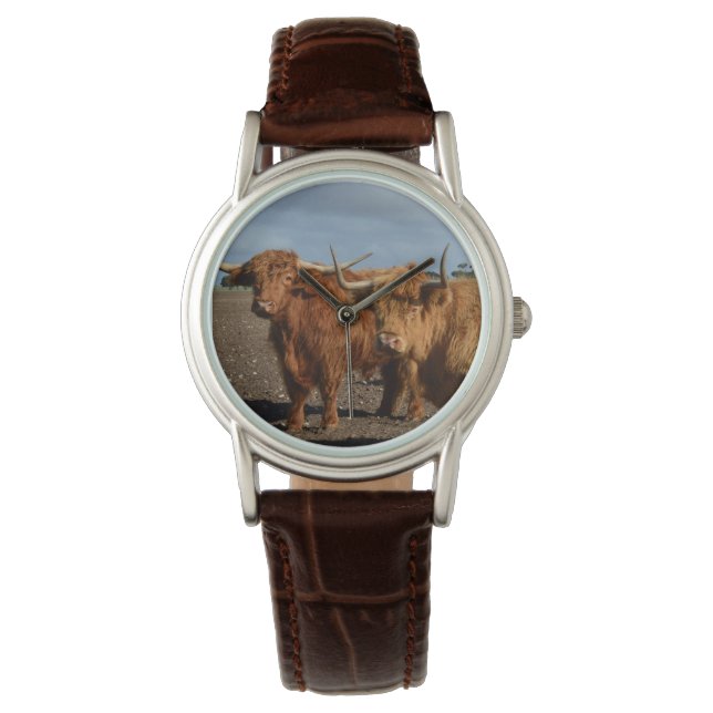 Big Brown Highland Cows, Watch (Front)