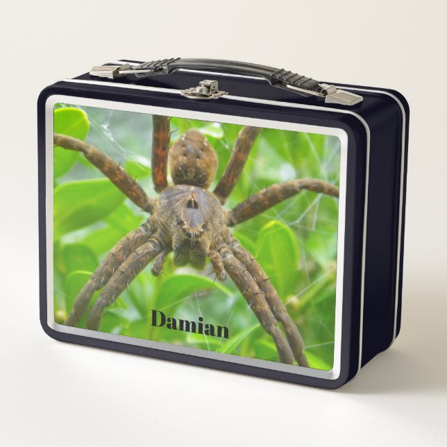 Big Brown Spider Lunch Box (Front)