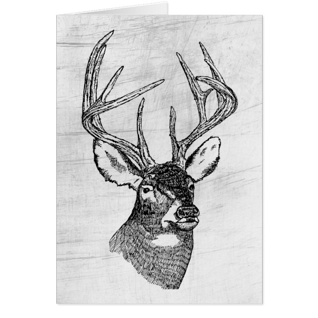 BIG BUCK (Front)