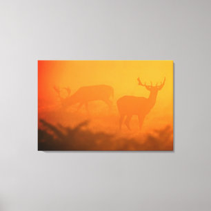 Big Buck at Sunset Several Sizes Burnt Orange Canvas Print