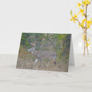 Big Buck Deer in Texas Art Note Card
