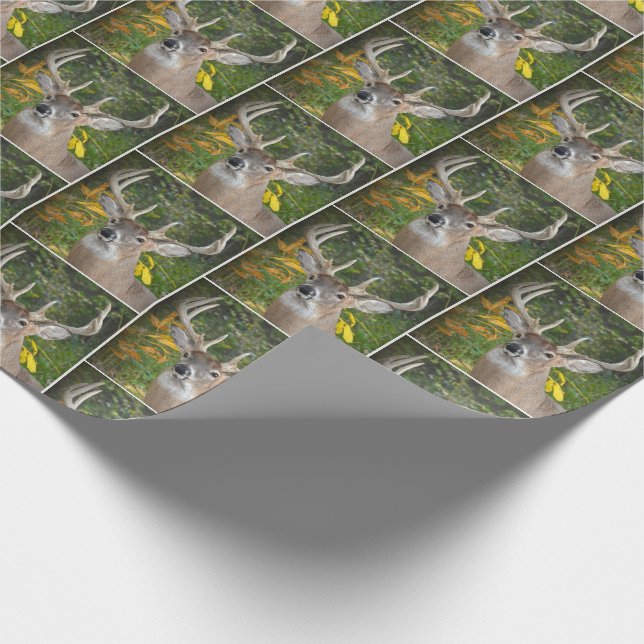 big buck deer in woods wrapping paper (Corner)